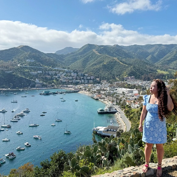 Dress - Picture 5 of 7